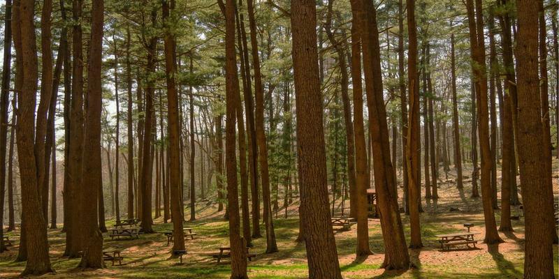 当代艺术收藏的智慧之选：江苏嘉德文化如何助您实现税务优化与法律风险规避