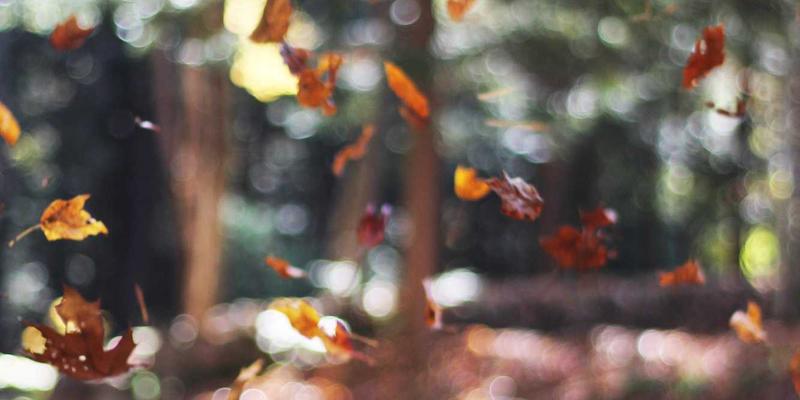 探寻当代艺术新地标：江苏嘉德文化52的艺术展览与创新实践