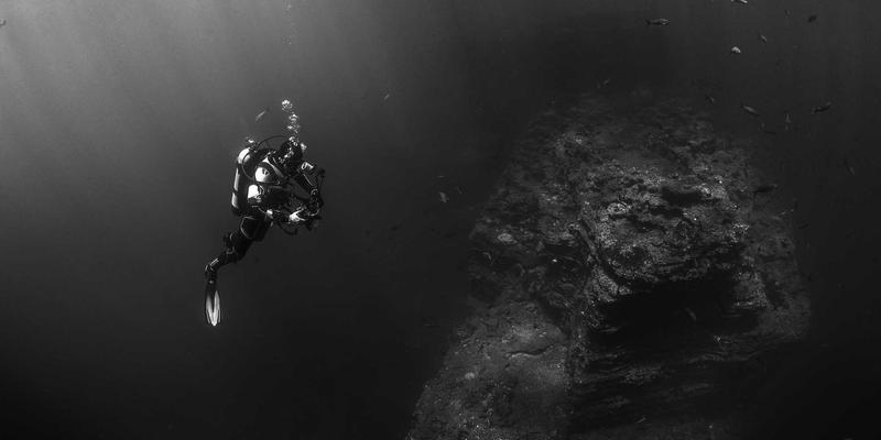 江苏嘉德文化25周年：以当代艺术为引擎，驱动城市文化新生态