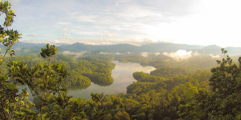 江苏嘉德文化55：当代艺术浪潮中的文化传媒先锋