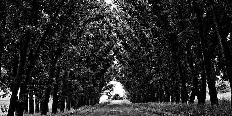 江苏嘉德文化60：以文化活动为纽带，谱写艺术交流新篇章