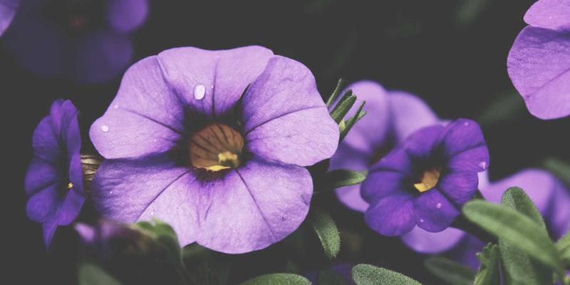 江苏嘉德文化67：当代艺术与文化传媒的创新融合