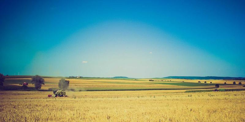 江苏嘉德文化攻略：探索文化传媒新生态与高品质活动指南