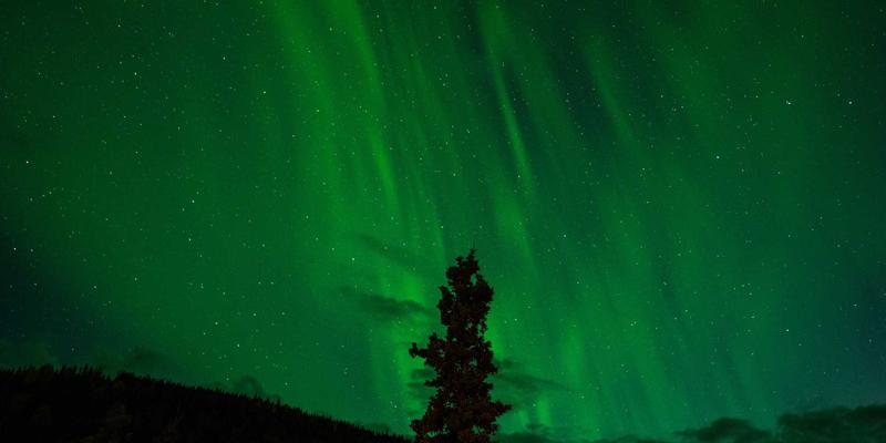 江苏嘉德文化：深耕艺术交流与推广，构筑长三角文化新生态