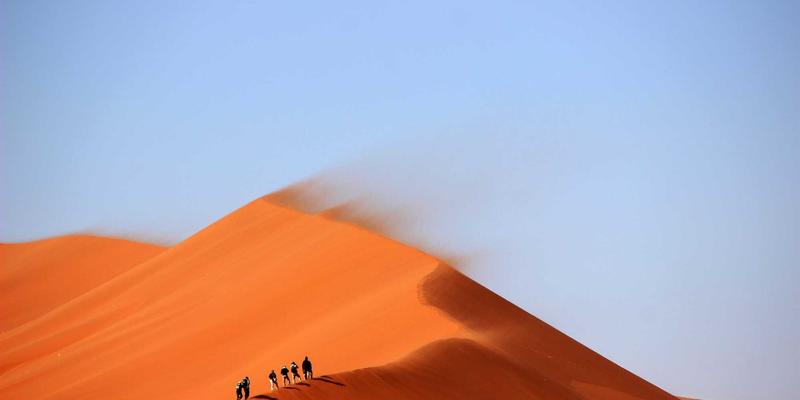 江苏嘉德文化：艺术教育项目深度解析，如何为公众与企业定制美育课程