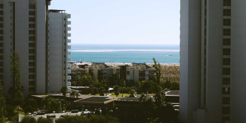 江苏嘉德文化：解码中国本土艺术机构的国际化策展与运营新路径