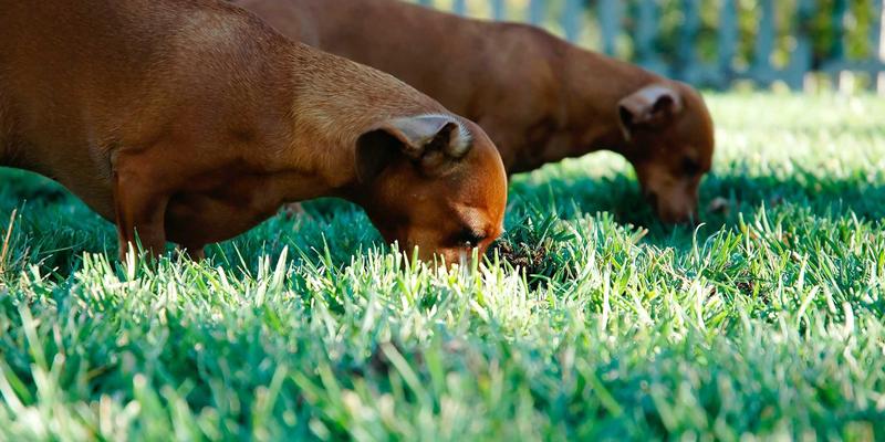 江苏嘉德文化：解码其在当代艺术教育与精英收藏家培养体系中的长期布局