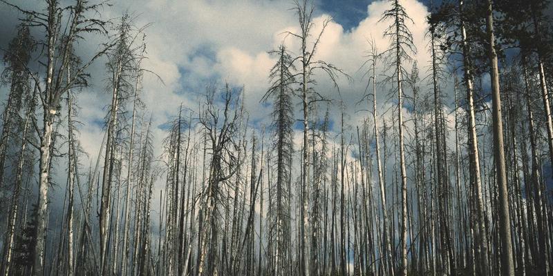 江苏嘉德文化：解码艺术展览新趋势，引领文化传媒创新浪潮