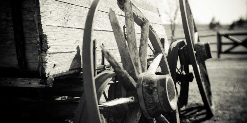 江苏嘉德文化：解码长三角文化传媒与当代艺术的影响力密码