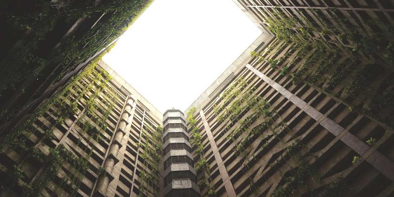 江苏嘉德文化：连接传统与当代的艺术交流桥梁