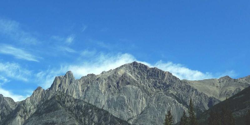 艺术市场数据分析与应用：江苏嘉德文化如何为藏家提供精准投资决策支持