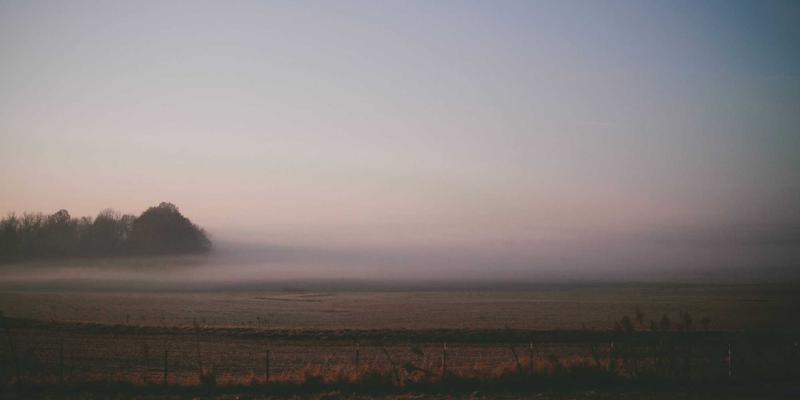 艺术推广新范式：江苏嘉德文化如何通过版权开发与IP运营重塑艺术生态