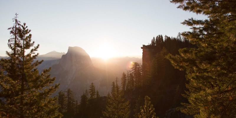 艺术鉴证新标杆：江苏嘉德文化如何通过溯源体系重塑艺术推广与交流生态